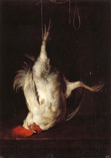 Gabriel Metsu Dead Cock Spain oil painting art